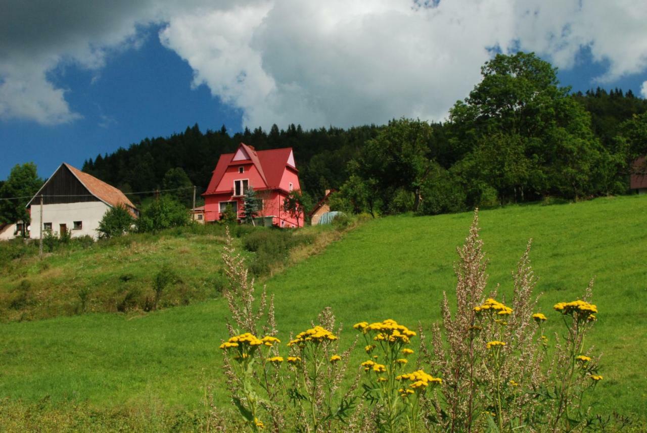 Malinowy Domek Mlynczyska Extérieur photo