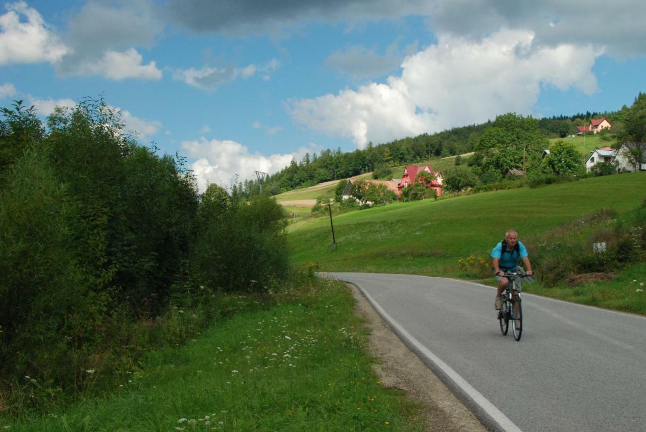 Malinowy Domek Mlynczyska Extérieur photo
