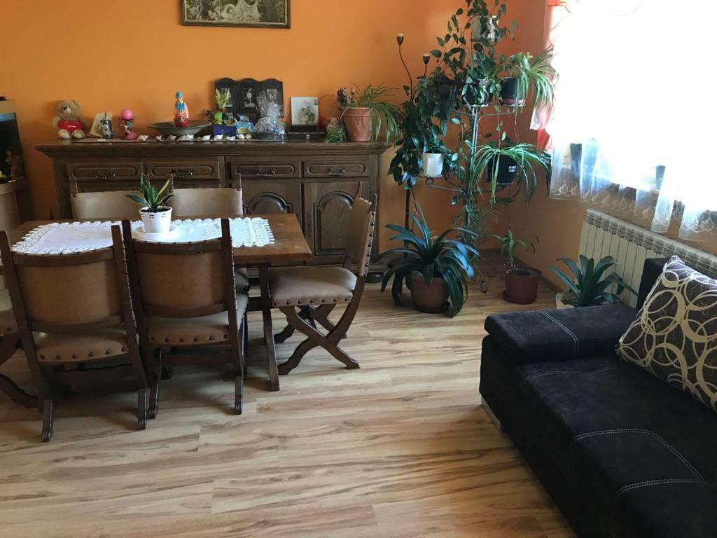 Malinowy Domek Mlynczyska Extérieur photo